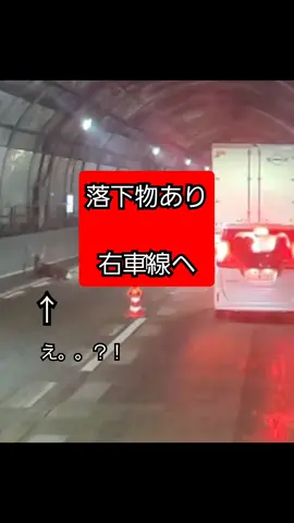 落下物って。。　鹿！？ #冷凍車 #北陸道 #落下物 #車線規制 