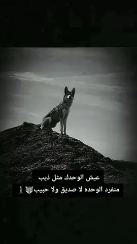 #كاطع_المياحي🔥☠️🦅 #تصميم_فيديوهات🎵🎤🎬 #كاطع_المياحي🔥 #ابوخضير🦅 #مهاويل_العراق #شعراء_وذواقين_الشعر_الشعبي🎸 #ستوريات_متنوعه #لايك_متابعه_اكسبلور #صعدو_الفيديو 