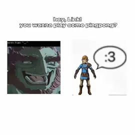 :3 #thelegendofzelda #tearsofthekingdom #ocarinaoftime #windwaker #twilightprincess 