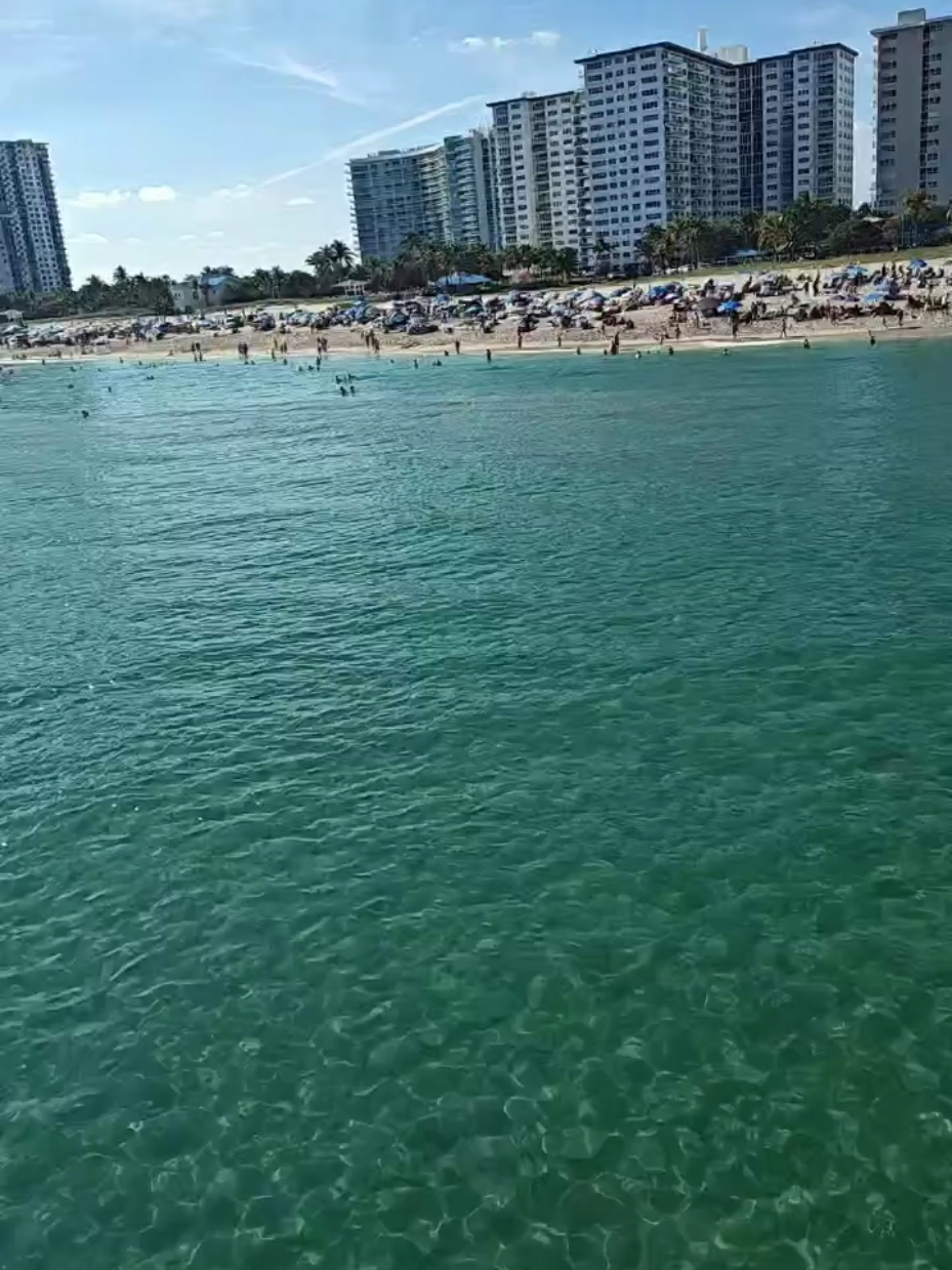 #LIVEhighlights #TikTokLIVE #LIVE #ocean #oceanlife #beach #beautiful #pompanobeach #florida #fl #beachgirl #Outdoors #out #newyear #firstlive #2025 