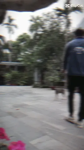 Người ta chỉ mời nhau ly rượu lúc giàu sang. Chứ mấy ai giúp nhau đôi đũa chén cơm lúc cơ hàn... Tốt với nhau nhờ thời chứ ai tốt cả đời ! Này chén rượu uống chung mai đây khốn khó... Chén muối chén gừng ai cho?