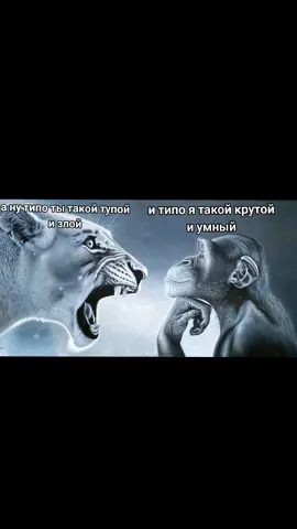 так и есть #умный #тупой #мем #лев #обезьяна