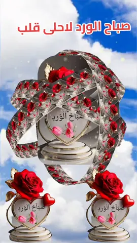 #صباح_الخير #tiktoklive #تيك_توك_عرب 