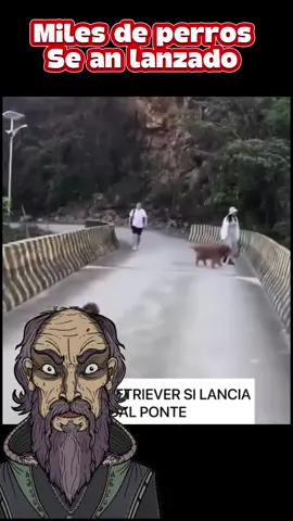 Puente donde se suicidan los perros #fantasma #oscuridad  #miedo  #susto  #paratiiiiiiiiiiiiiiiiiiiiiiiiiiiiiii #cuentosdeterror #fantasmas #brujasreales #viral_video #historiasdeterror #miedoterror 