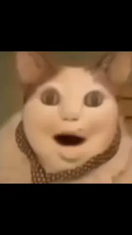 Bouh ! Tu as peur ? N’aie pas peur ! Je suis un ami ! Je ne te ferai pas de mal ! Viens ici, viens à moi, Assieds-toi à côté de moi. Regarde-moi dans les yeux. Tu me vois ? Je te vois aussi ! Regardons-nous jusqu’à ce que nos yeux se fatiguent. Tu ne veux pas ? Pourquoi ? Est-ce que quelque chose ne va pas ? #trendingvideo #memestiktok #humour#boutuaspeur#chat#ai#pourtoi#fyp#funn #trynot #mdr