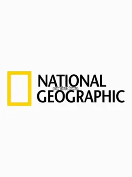 my first love, national geographic  @National Geographic  . . . #biology #nationalgeographic #ng #natgeo #natgeowild  #photography #ciencia #naturelover 