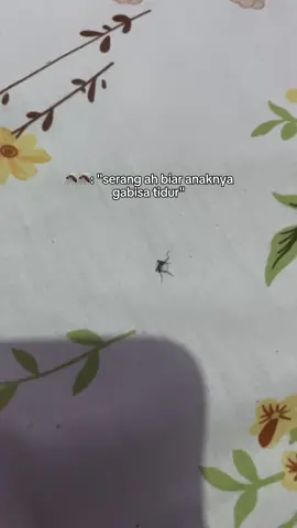 #SALAHORANG soalnya dilindungin pake calming cream ini🫣 #masyaallahtabarakkallah #skincareanak #skincarebayi #calmingrubmoell #minyaktelon #telonbayi #kolik #kembung #tantrum #calming #calmingcream #calmingbaby 