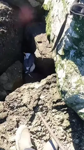Saving a Birds Life While Fishing#outdoorsman #campinglifestyle #survivaltipps #viral