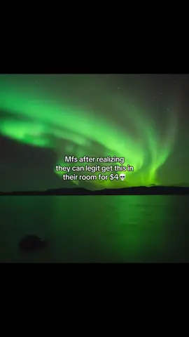 Actually the craziest thing I’ve seen and it’s dirt cheap😭😭 #nature #lights #northernlights #life #roomlamp #room 