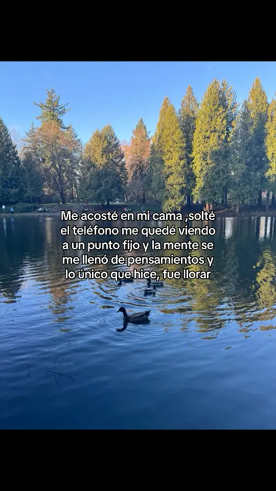 #enparati #contenido 