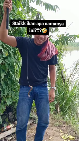 ada yang nyangkut ada yang straikkk.🤣🤣🤣🤣
