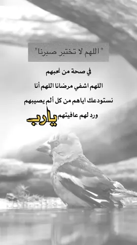 اللهم لا تختبر صبرنا في من نحبهم #اعادة_النشر🔃 #إيفان_الجيزانيه #اكسبلورexplore #ذاك_الأبي #اللهم_اشفي_كل_مّرَيَـضّ 