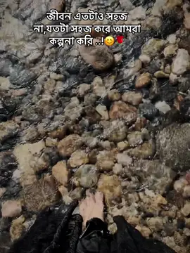 জীবন এতটাও সহজ না , যতটা সহজ করে আমরা কল্পনা করি! 😒🌹#bangladeshtiktok #foryoupage #viralvideo 
