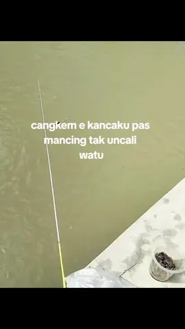 tag en kancamu  #fyp #ngawi24jam #lewatberanda #fyppppppppppppppppppppppp #menuju2025 #castingfishing🎣 #infospotmancing 