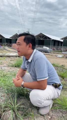 Trường hợp đauu đầuu nhứt là đây #c1 #c2 #c3 #c4 #c5 #c6 #traigaduyenti #channuoi #ga 