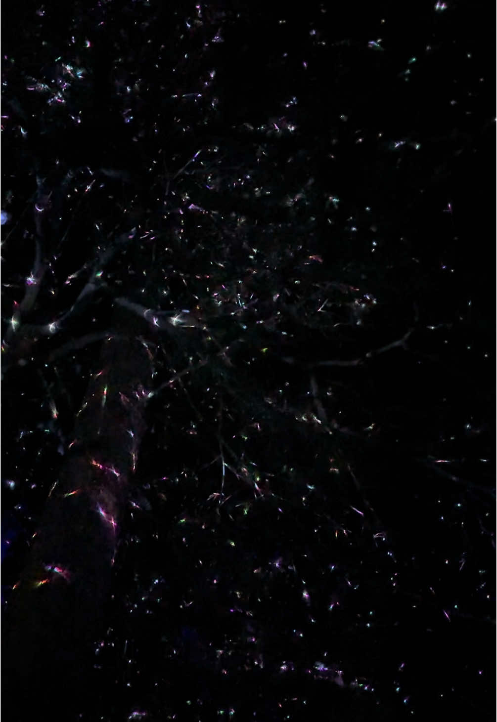 Thanks 2024 ✨♥️🎊 . . . . #2024 #2025 #yoga #zermatt #cransmontana #matterhorn #newyear @Crans Montana Resort @Crans-Montana @Zermatt Matterhorn @Zermatt Bergbahnen 