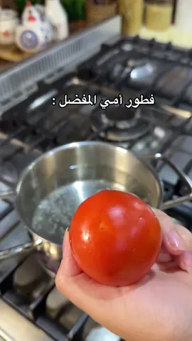 تعالو للبرنامج الاصفر الرابط بالبايو🤍 #fypツ #بَ_الشمري 