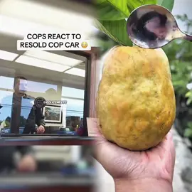 COPS REACT TO RESOLD COP CAR 🚔 😳 #cops #police #policeofficer