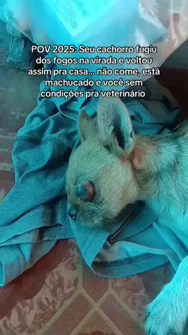 Que começo…