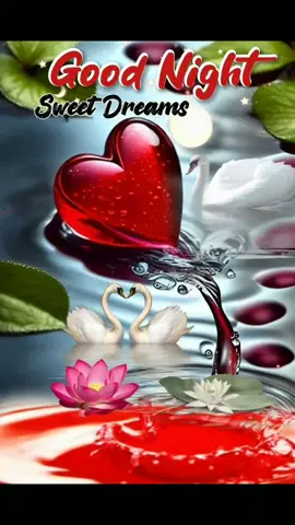 #goodnighteveryone #🖤🖤🖤 #tamillovesong #🎼❤️🎼❤️🎼❤️  #90stamilsong #kjjesudass  #kschithra #ilyarajamusic  #tamilhits #💫♥️🕊 