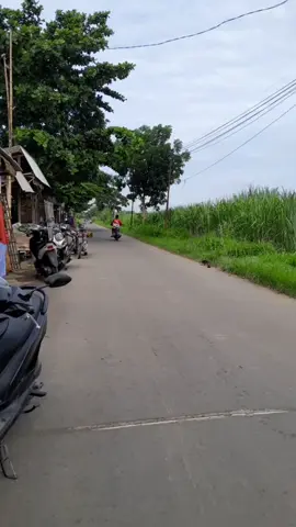 #viralvideo #viral #exploredesa #cirebonpride #fyppppppppppppppppppppppp #pasaleman #cigobang 