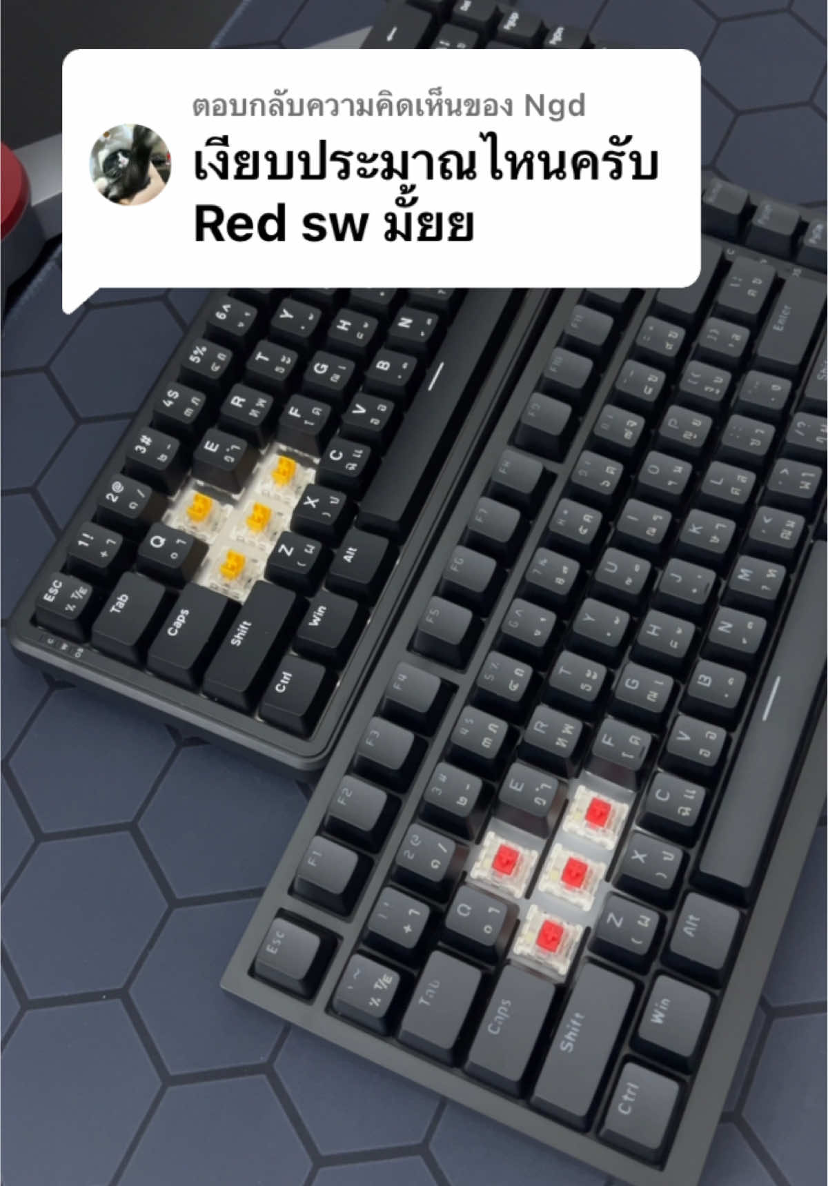 ตอบกลับ @Ngd  เสียง Switch🔊 ✅ Magnetic Switch ⚡️ ✅ Red Switch itgaming_shop2⌨️🖱️🕹️🎤🔊💻🖥️🎧 ส่งของทุกวัน จ-อา 🚚💨 ตัดรอบ 16.00น ⏰ #tiktok #TikTokShop #ส่งฟรี #เก็บเงินปลายทาง #ราคาดีทุกวัน #ราคาถูก #itgamingshop2 #keyboard #คีย์บอร์ด #ajazz #ajazz680maxhe 
