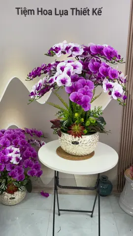 Chậu cắm tròn trưng phòng khách 20-30 m2 #hoaluathietke88 #hoalancaosu #hoagiacaocap #hoagiatrangtri #trangtrinhacua #trangtringaytet2025 #tet #xuhuong 