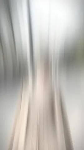 Hoa lá trở thành sỏi đá 🤎🤎