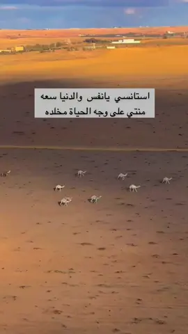 #ابيات #شعر #بيت #شاعرها #منقول #شاعر #شعور @ابوحصه🐰 @سليمان السدلان @عبدالرحمن الناحي. 