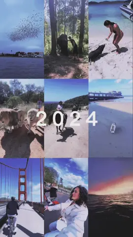 Forever grateful for the year of 24’ ❤️