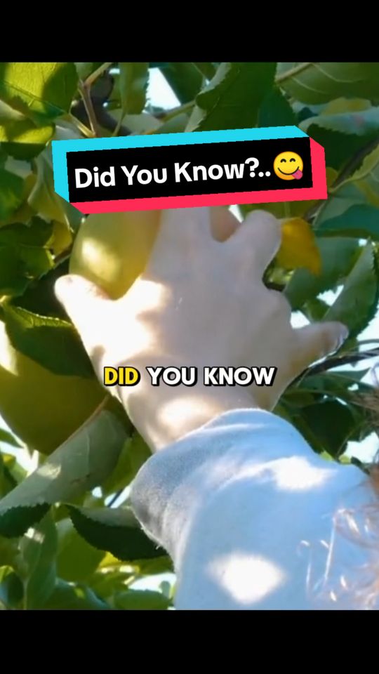 Did You Know?..😋🤣😂 #facts #funfacts #DidYouKnow #tiktokhumanitiescompaign #funnyvideo 