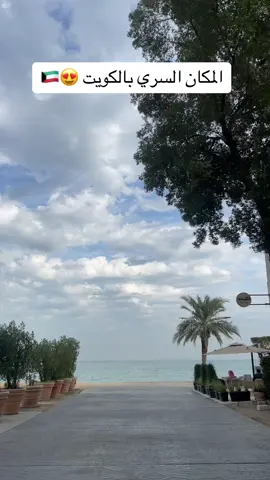 المكان السري 😍👏🏻#الكويت #الكويت🇰🇼 #اماكن_الكويت #kuwait #جديد #اكسبلورexplore❥🕊 #explore #ترند #fyp 