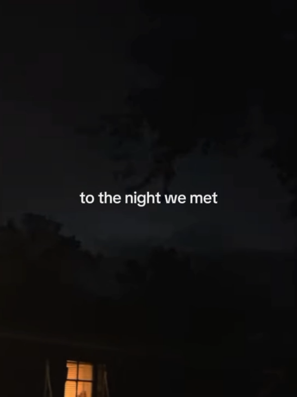 take me back. #lordhuron #thenightwemet #lyrics #musicvibes #foryou #fyp 