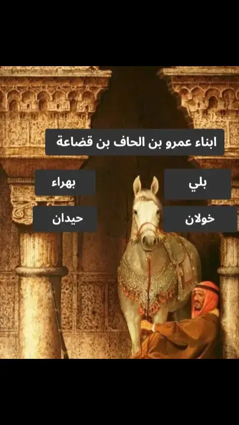 ابناء عمومة قبائل بلي لزم #المملكه_العربيه_السعوديه🇸🇦🇸🇦🇸🇦🇸🇦🇸🇦🇸🇦 #الكسبلوررررررررر #ترندات_تيك_توك #تبوك_الورد_تبوك_تيماء_ضباء_حقل #العيص_املج_الوجه_المدينه_المنوره #الشعب_الصيني_ماله_حل 