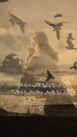 چا لو هية بطيبة الگلب محد غلبنا بس هية بالحض وحنا حض ما عدنا@🍂 🥀💔