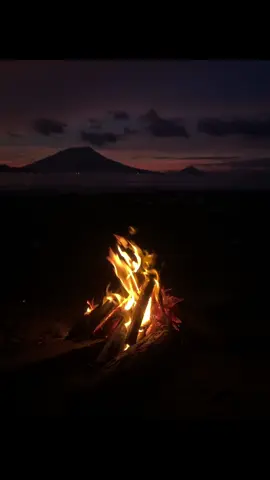 Dusk till Dawn 