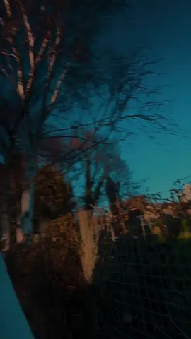 When your 2025 goal is to run a 10k and you do it on the 2nd Jan 😍 #75hard #75medium #2025 #Fitness #weightloss #runnung #runningtips #10k #teamwork