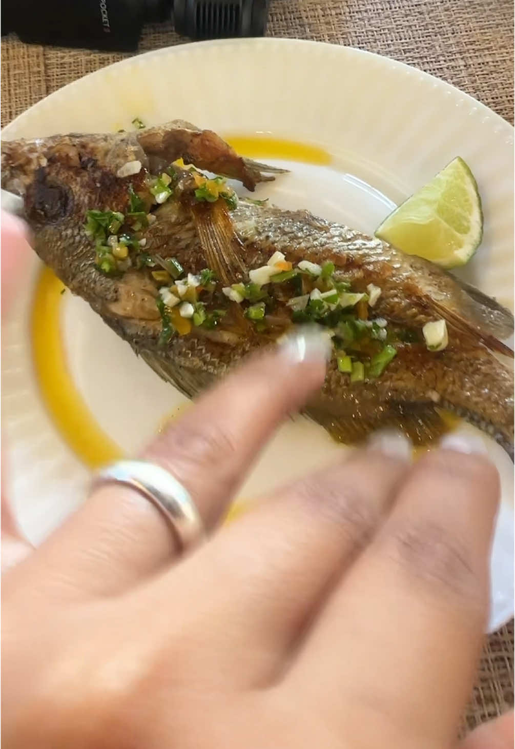 El coro coro en Margarita #Enero #islademargarita 