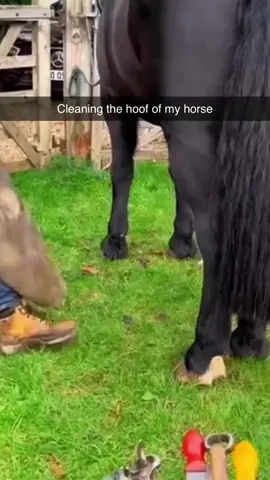 Hello 2025 #cleaning #horse #hoof #horsehoof #satisfyingvideo #fyp #viral 