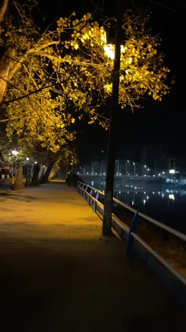 #اصاله_نصري #ممكن_تخليني_في_حضنك🥺❤ #اغاني #شعب_الصيني_ماله_حل😂😂 #ترند #اكسبلورexplore #تصميم_فيديوهات🎶🎤🎬 #تصميمي #موسيقى #ترندات_تيك_توك 