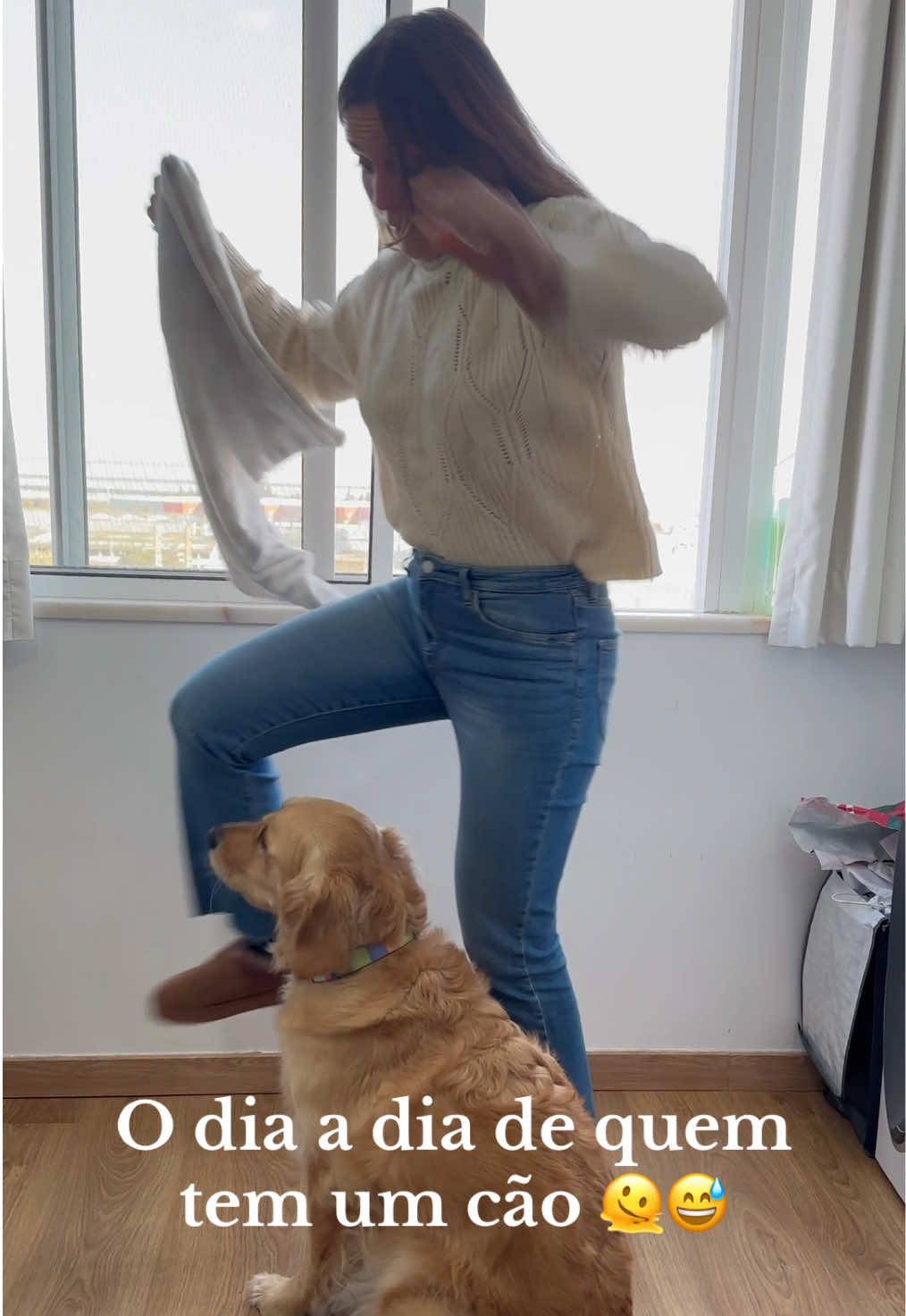 Para quem quer saber como é viver com cães, deixo-vos aqui um cheirinho 😂 . . . #goldenretriever #funnydogsoftiktok #fyp 