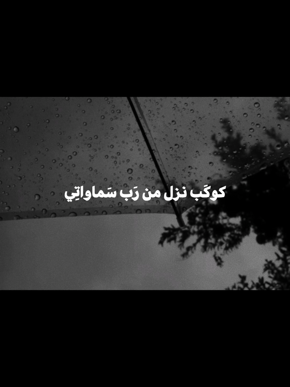 هذا البارت بالذات م اله وصف أبدا 😔😭😭🫰🏻 #باسم_الكربلائي  #محبين_باسم_الكربلائي  #باسميات #explorepage 