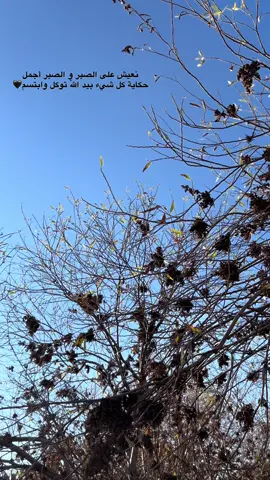 #الحمدالله_علی_کل_حال❤ #كل_شيء_ياالله #الله #..        ..        ..      ..       …        …      …    …     ..        ..      …         ..     …      ..#moon 