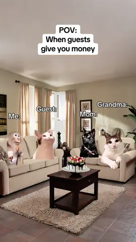 When guests give you money #catmemes #realatable #Relationship #mom #grandma 