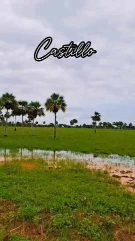 @Vitico Castillo Corazón de concreto #viticocastillo #llano #llanosorientales #llanera #musicavenezolana #guarico #elorza #apure #barinas #sanfernando #arauca 