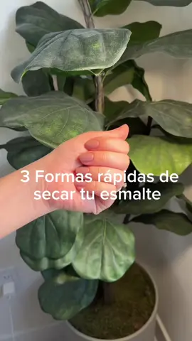 3 Formas rápidas de secar tu esmalte 💅 1. Dry Dropes @essence cosmetics  2. Brillo secante @Masglo  3. Spray secante Demert Nail Enamel Dryer #nails #nailart #beautytips #uñas 