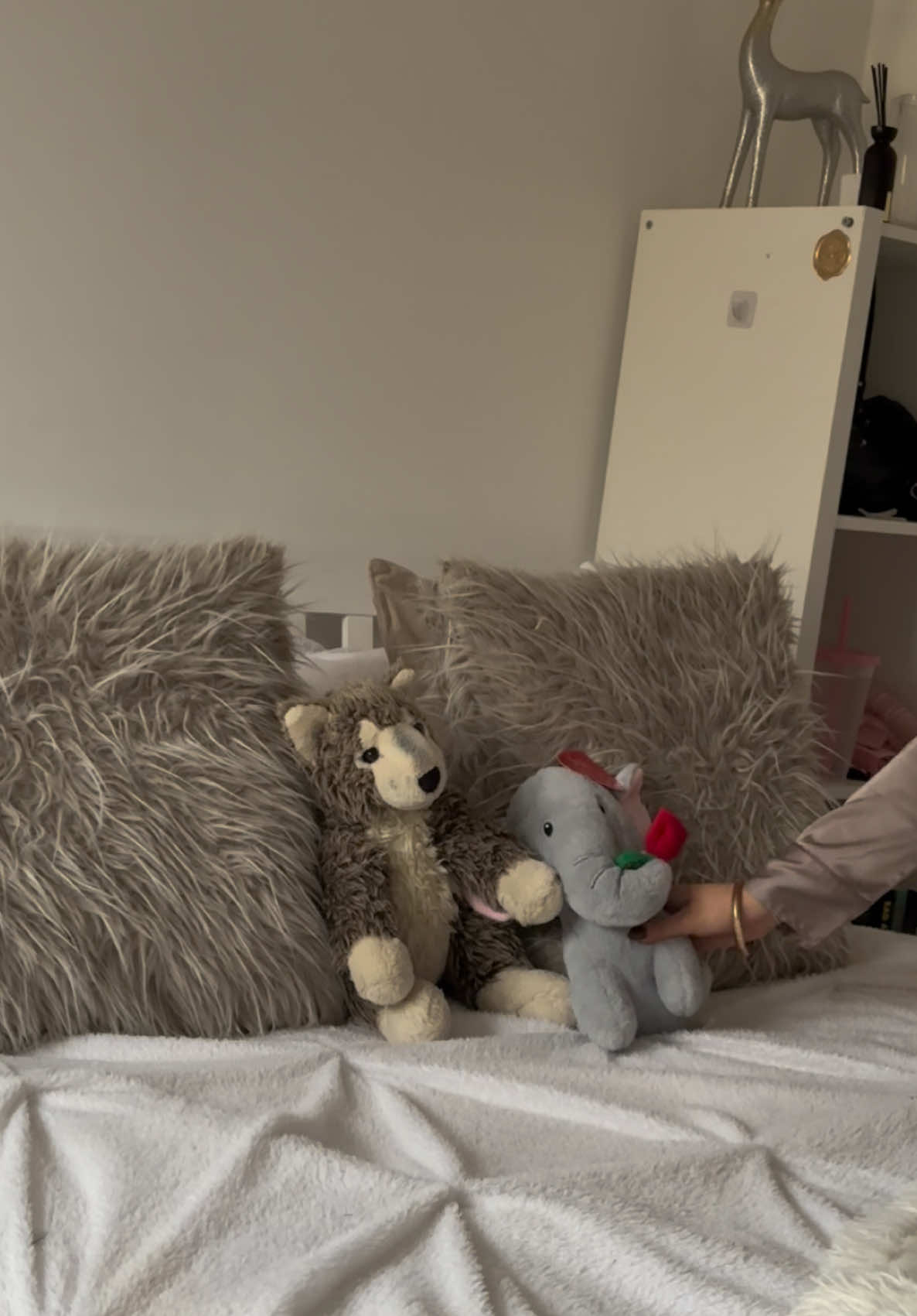 guys i’m making this my whole personality trait #75hard #onlinecoach #gym #womensfitness #gymgirl #weightloss #day1of75hard #Vlog 