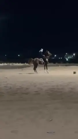 البطل هـيّاف 👏🏻🔥.                                 #خيل_عربي_اصيل🐎🐎 #خيل_نجران #خيل #خيل_وخياله🐎 #اكسبلور #fy 