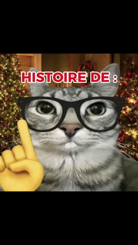 essaie de ne pas avoir peur 😱 #dankmemes #catmemes #chat #brainrot #offlain #humour 