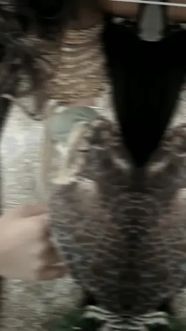 بنت ابوها واشهد انها بنت ابوها شيخة الشيخات من ترثة شيوخ🤎#تصميمي🎬 #اكسبلورexplore❥🕊 #مالي_خلق_احط_هاشتاقات#مالي_خلق_احط_هاشتاقات 